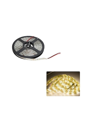 Cata Dış Mekan Silikonlu Günışığı Şerit Led Ct-4488 5 METRE