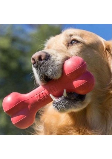 Kong Kemik Şeklinde Kauçuk Köpek Oyuncağı Large