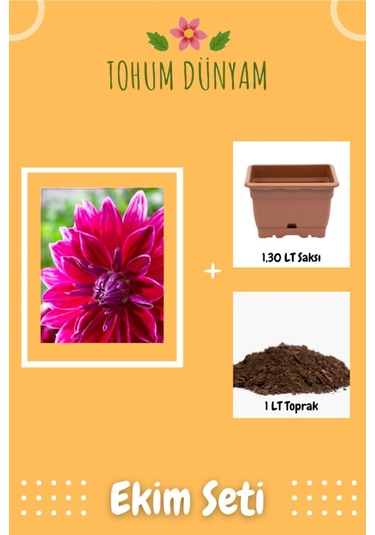 Yıldız Çiçeği Tohumu Ekim Seti