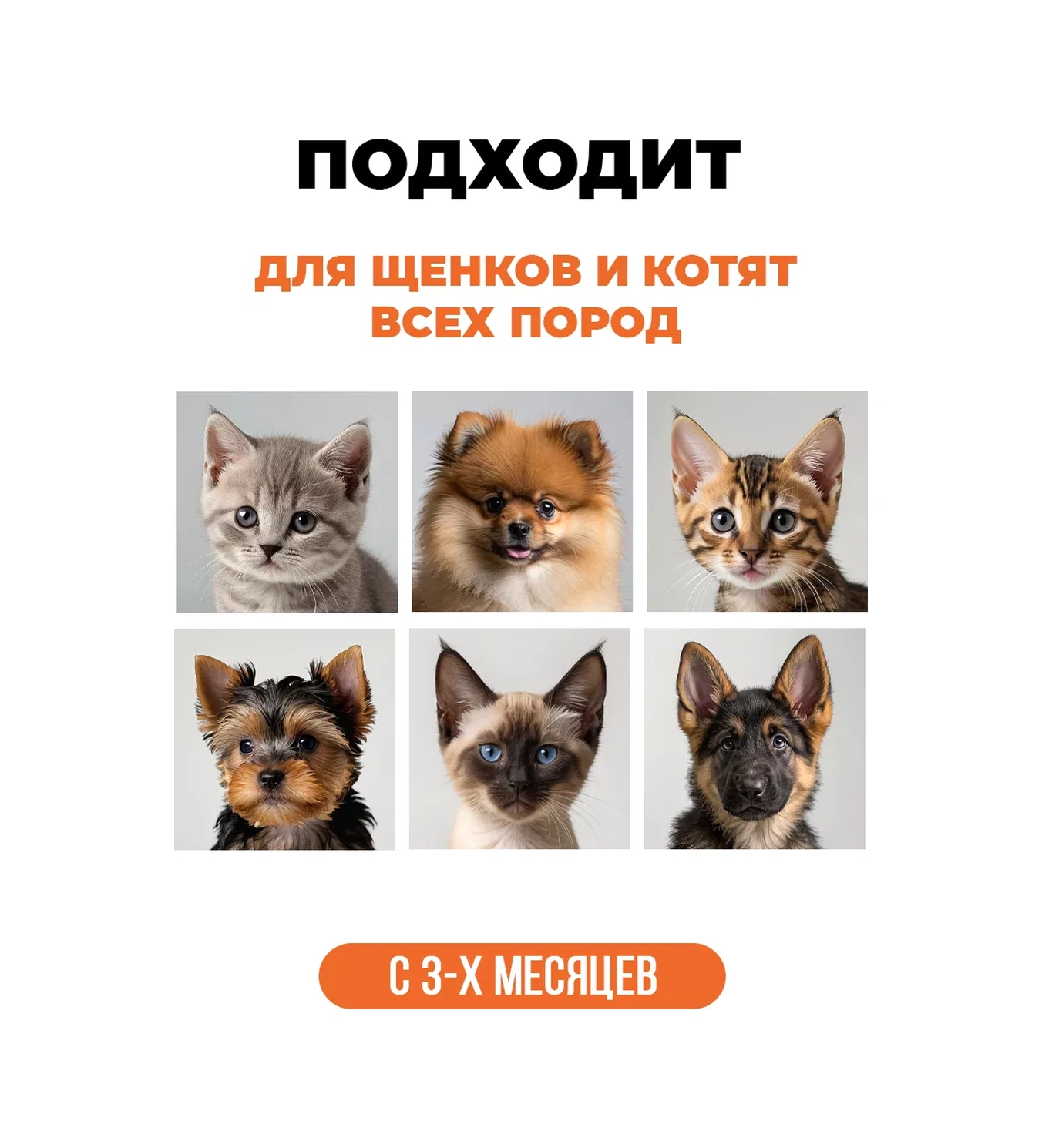 Spets Yavru Kedi Ve Yavru Köpekler İçin Şampuan, Hipoalerjenik, 500 Ml 180958570