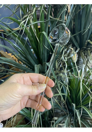 Mercan Borosilikat Cam Sos Kepçesi