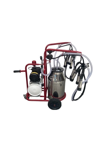 Bartech Yaprak Çiftli İnek Süt Sağım Makinası C40 Krom Güğüm Kuru