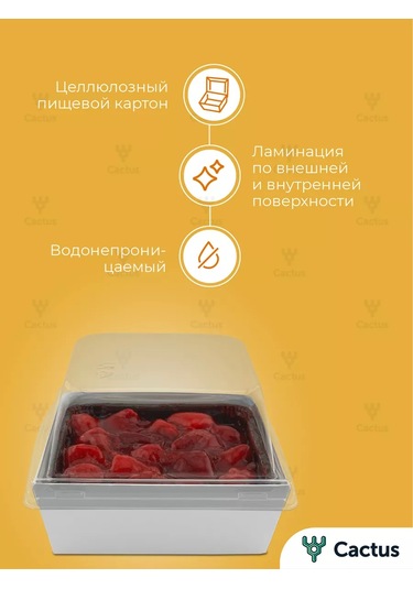 Cactus Bento Kutusu, Kek Kutusu 10 Cm, 10 Adet 254505675 100 adet