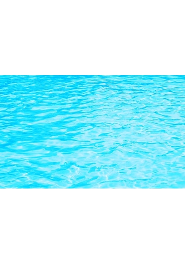 Kanki Pet 55 CM Akvaryum Arka Fon Yapıştırma 55x40 CM