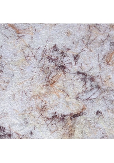 Ipek Sıva (112363606)