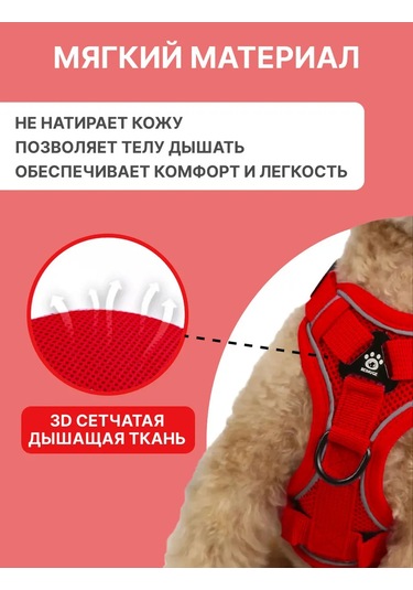 Tori Küçük Ve Orta Irklar İçin Tasmalı Köpek Kayışı Ve Kedi Şeridi 451340234