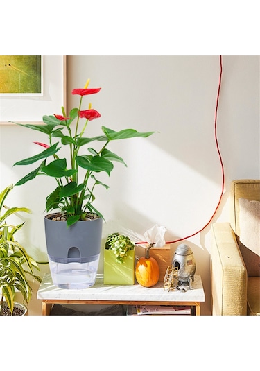 Katlı Topraksız Yetiştirme Saksısı Pamuklu Halatlı Kendiliğinden Sulama