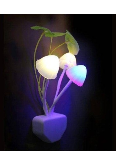 Moly Çiçekli Dekoratif Rgb Sensörlü Gece Lambası Çok Renkli