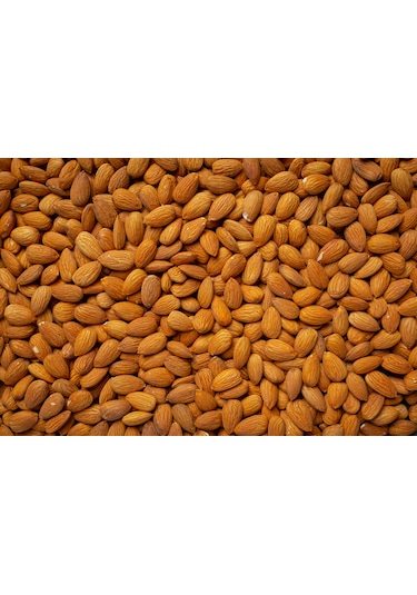 İslimli Kayısı Çekirdeği Tatlı & Kavrulmamış 1 KG