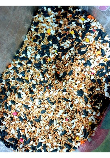 Akderepet Papağan Yemi 1 KG