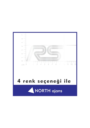 Gümüş Araç Sticker Etiketleri 10cm Model 56