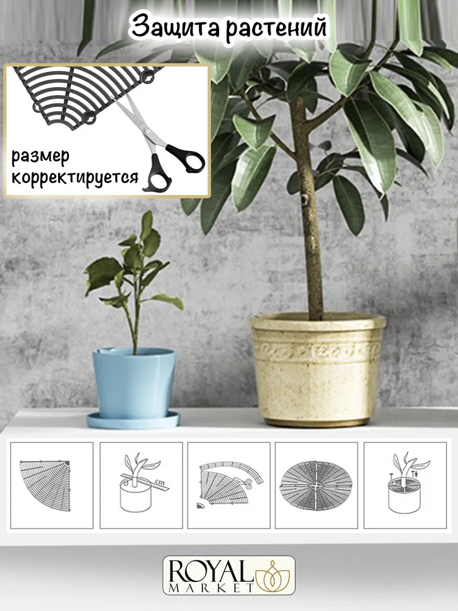 Royal Market Bitki Koruma 321194434