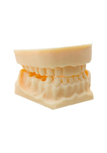 Barışhan Medikal Silikon Çene Diş Dikiş Modeli Ortodontik Alt Üst Çene Periodontal Sütür Eğitim Modeli-3