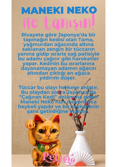 Petjoo 4.Maneki Neko Pembe-Mavi Qr'lı Kedi Künyesi