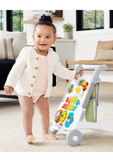 Skip Hop Explore & More 4 Aşamalı Aktivite Yürüteç