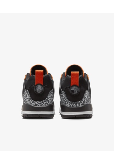 Jordan Spizike Low Fq3950-008 Çok Renkli