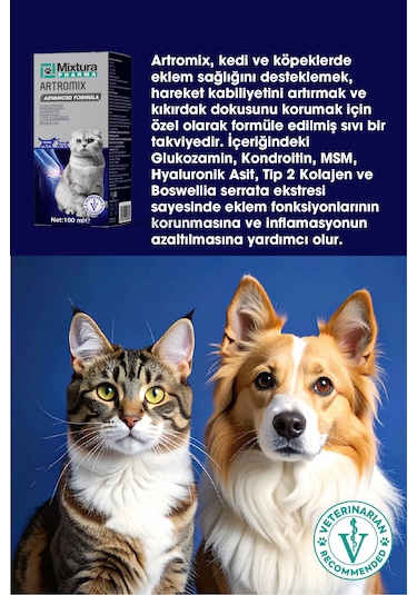 Mixtura Pharma Artromix  Ve Kemik nı Sıvı