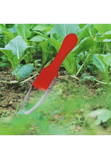 Trendooze Homyl Tarım Arazileri Bahçe Çim Yardımcısı Ot Kırmızı, Tarım Ürünleri