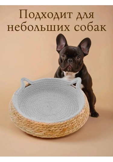 Vektorı Kediler Ve Köpekler İçin Tırmalama Tahtalı Yatak 463888976