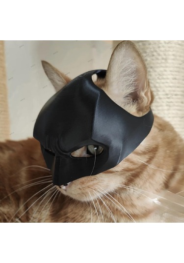 Siyah Batman Kedi Maske - Giyilebilir Kedi Maskesi Evcil Hayvan Maskesi 1 Adet