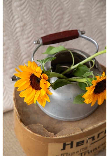 Apricitas Home Bourbon Bej Tek Kişilik Yatak Örtüsü Seti