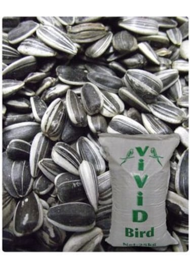 Vivid Küçük Çekirdek Tuzsuz 1kg Praket