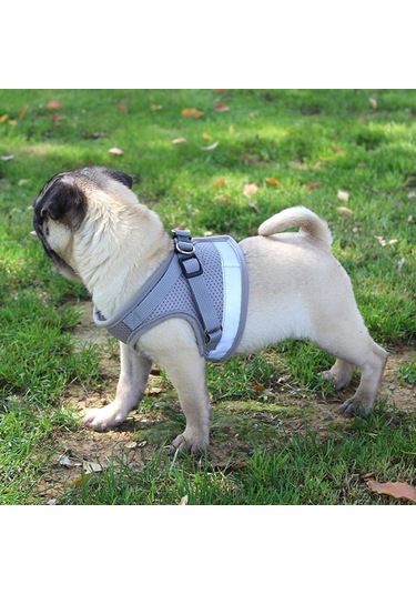 Geeroyoo "yansıtıcı Köpek Yeleği - Çekmeyi Önleyen, Ayarlanabilir, Nefes Alabilen Kumaş, Kedi/köpek/yavru İçin Kırmızı, Xl " Kırmızı