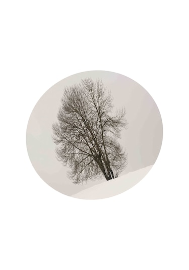 Suntek 140cm Dia Masalar Için Masa Örtüsü Restoran M