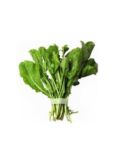 500 Adet Tohum Organik Hobi Bahçe Balkon İzmir Rokası Tohumu Saks