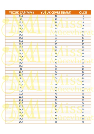 Gümüş Saat Kordon Model Siyah Zirkon Taşlı Erkek Yüzük