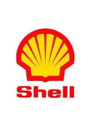 Shell Heat Transfer Oil S2 S Bidon Thermia B Yağ 20 L