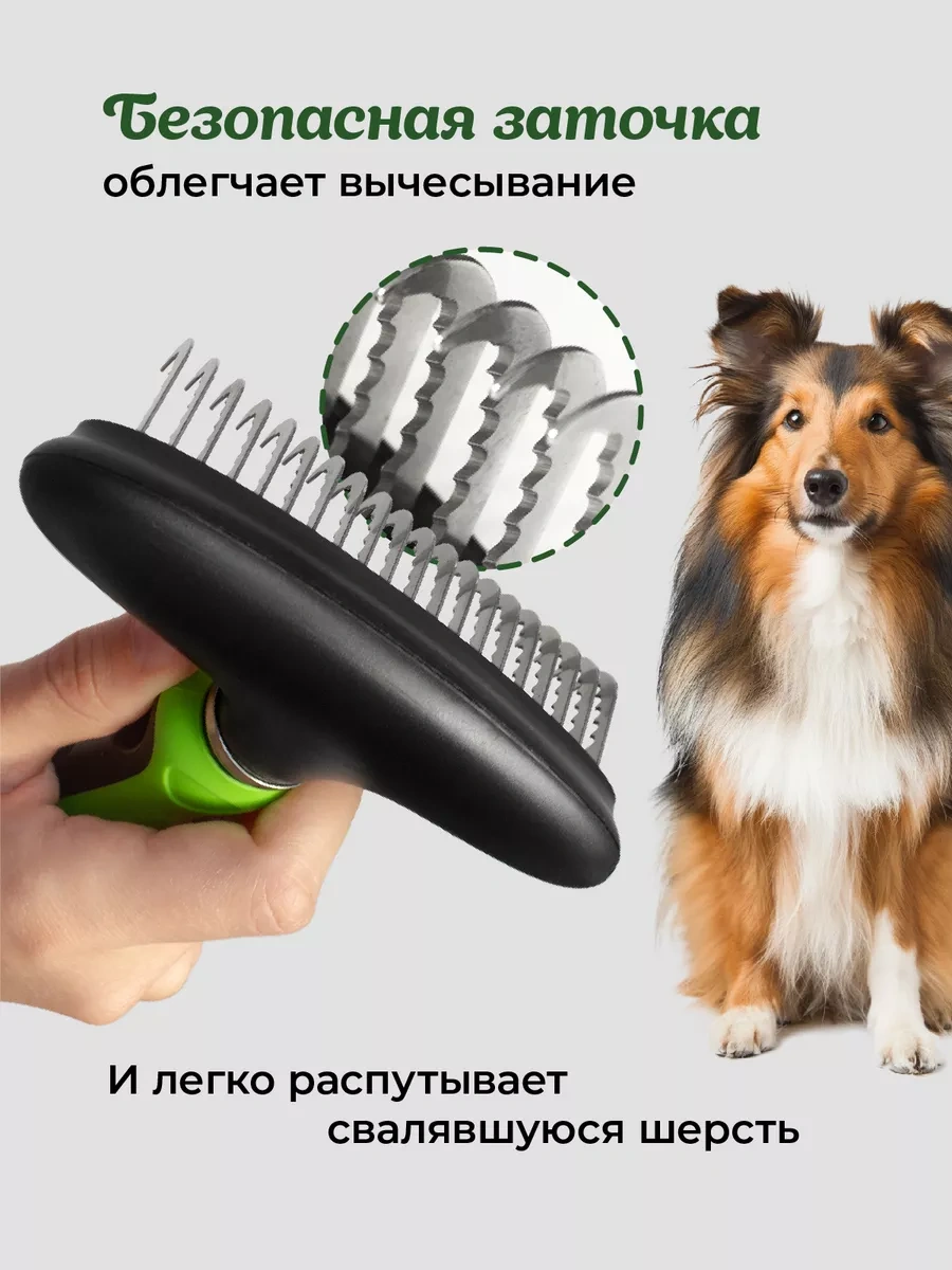 Misterbully Büyük İri Tüylü Köpekler İçin Tarak-taranta 229355587