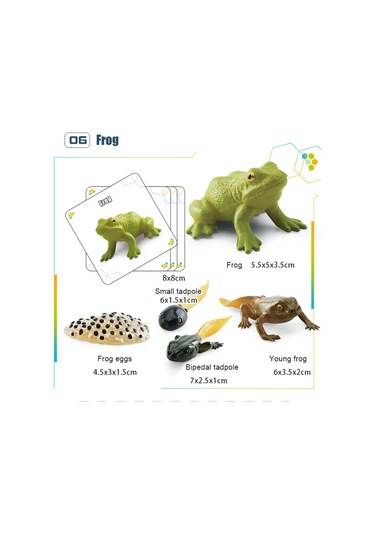 Yifomall 25 Adet Hayvan Büyüme Döngüsü Modeli + 25 Kart - Çocuklar İçin Doğa Bilgisi Eğitici Öğretim Aracı Kelebek, Kurbağa, Arı, Böcek, Deniz Kaplumbağası, Yavru Penguen