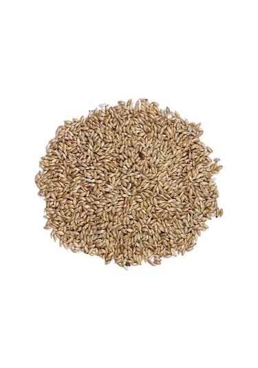 Sade Kanarya Yemi 25 KG