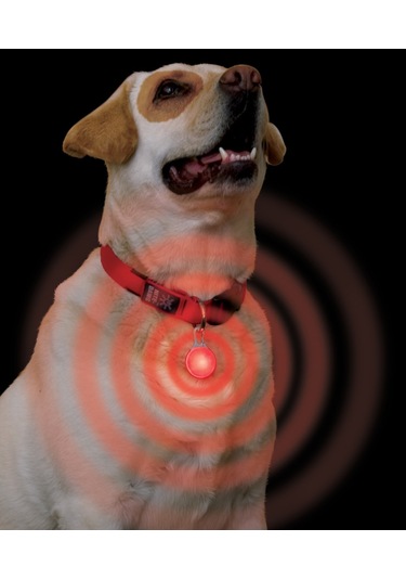 Nite Ize Spotlit Karabina Led Güvenlik Işığı Mavi