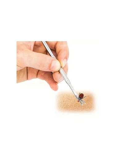 Chuangyinshop 2li Kutu Seti Paslanmaz Çelik Kedi Köpek Pire Kene Tırnak Bakım Aracı