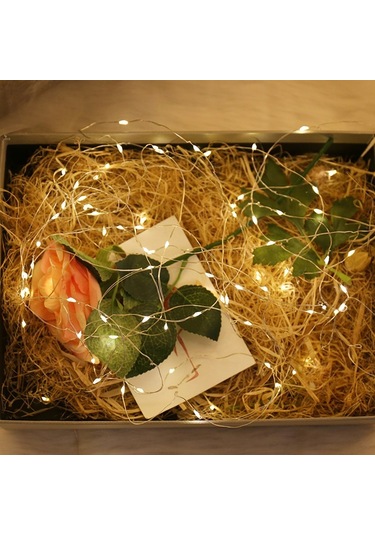 River World Yılbaşı Ve Özel Konsept Dekorasyon 5 Mt Usb Bağlantıl