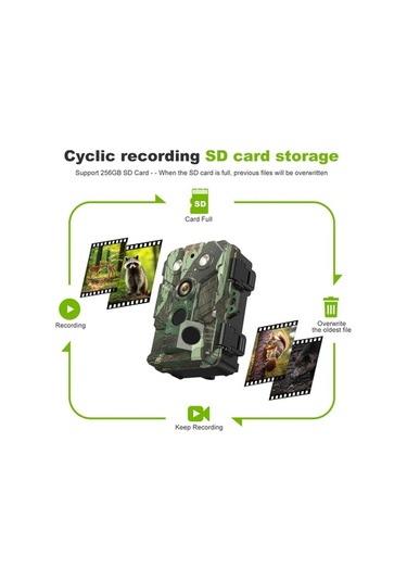 Dancemonkey Yaban Hayatı İz Kamerası 32mp 1080p Kızılötesi Ip66 Su Geçirmez Avcılık Kamera Çok Renkli