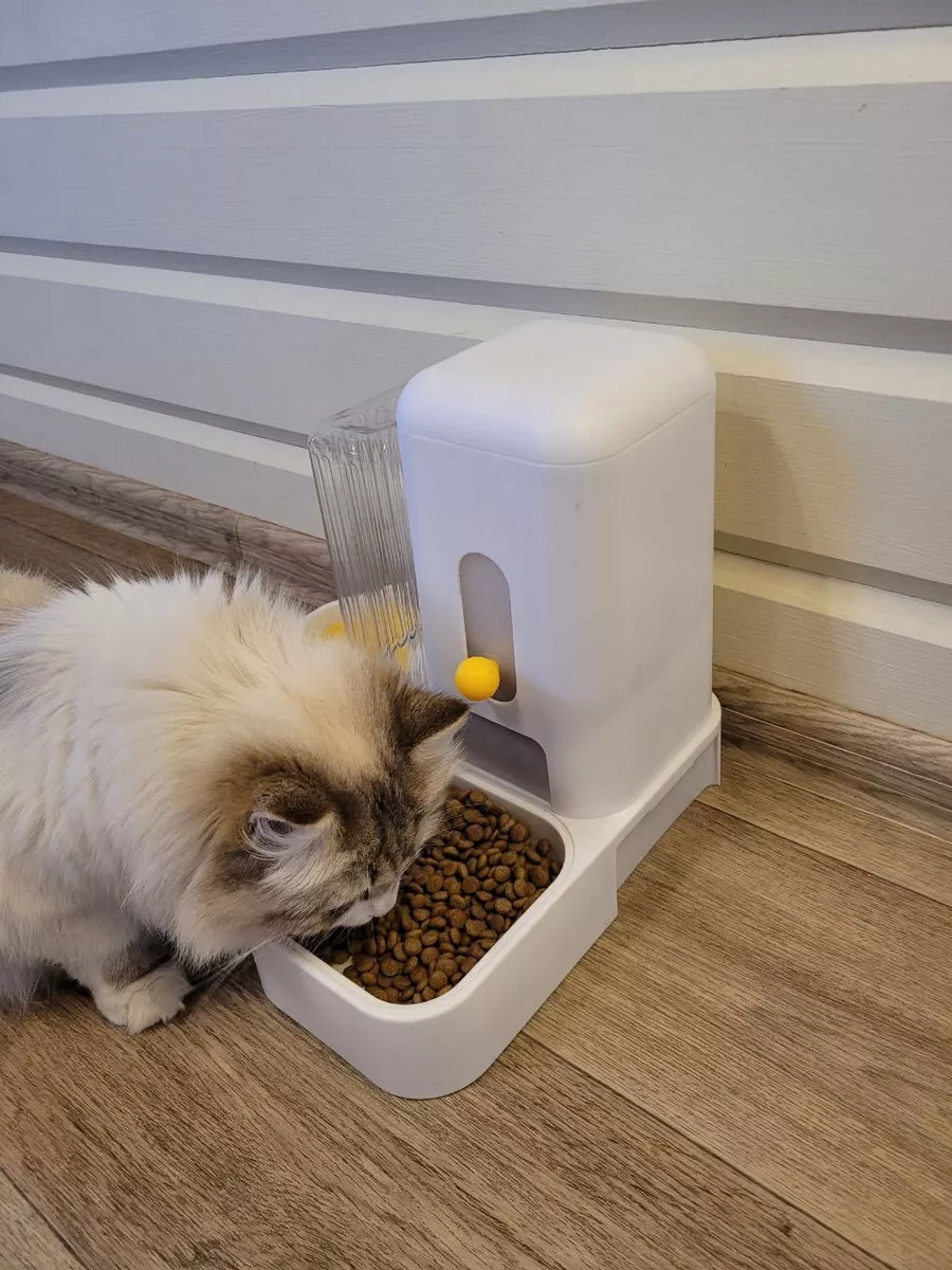 Foranimals Otomatik Mama Ve Su Kabı Kedi Ve Köpekler İçin 237273126