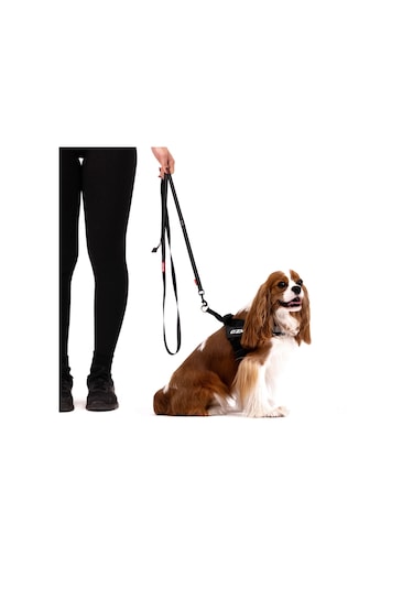 Ezydog Leashes Trainer Soft 25 Mm 180 Cm Köpek Gezdirme Kayışı Mavi Çok Renkli