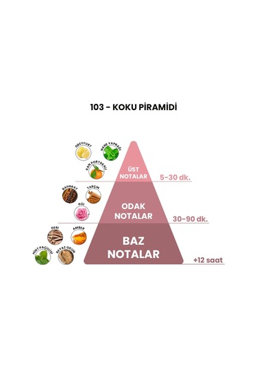 BEX 103 Erkek Parfüm EDP 50 ML