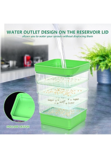 Homyl Tohum Filizleme Kitleri Brokoli Yonca Tohumları Buğday