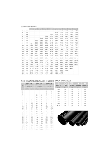 Pe100 İçme Suyu Kangal Boru Mavi 20MM 16 Atü 100 Mt