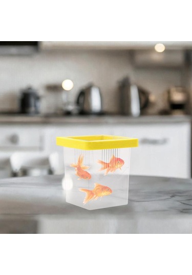 Homyl Yüzen Balık Yetiştiricisi Kutusu Palyaço Balığı,