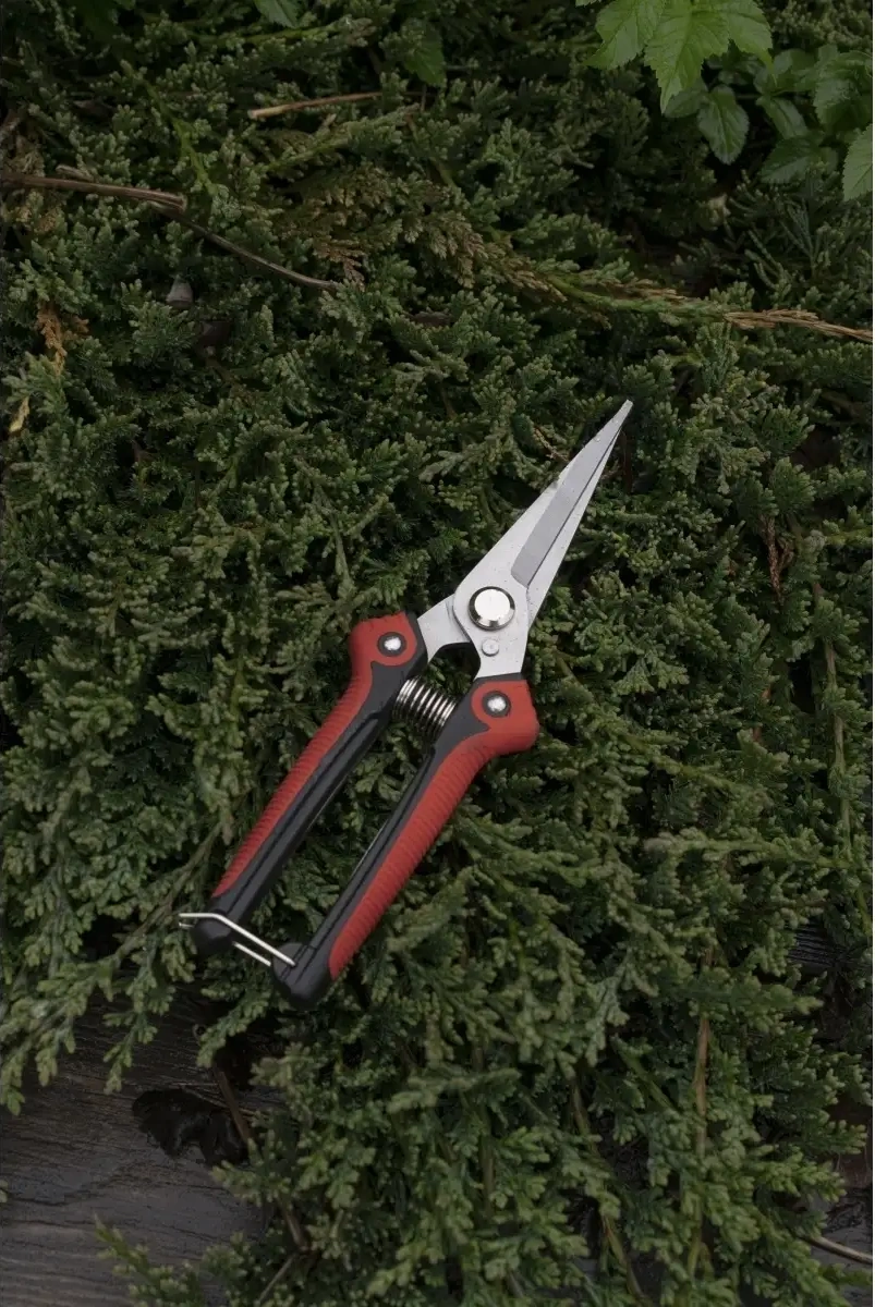 Frommyheart Bahçe Makasları 79473209