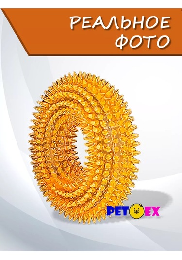 Pet-ex Küçük Köpekler İçin 10 Cm'lik Zangırtılı Ve Dikenli Köpek Tasması 241229175