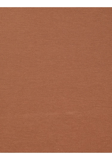 Pierre Cardin Erkek Açık Kahverengi Tişört Basic 50321128-vr002
