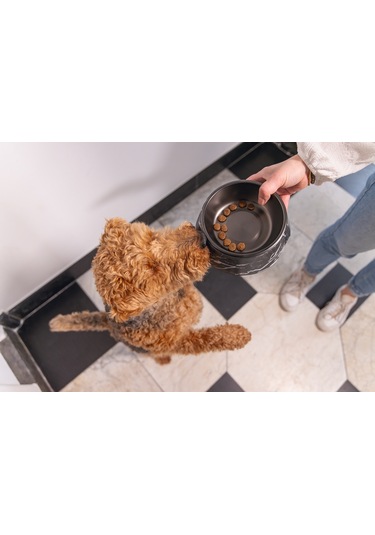 Beeztees Dbl Köpek Mama Su Kabı, Mat Siyah Paslanmaz Çelik, Siyah Mermer Görünümlü, 17,5cm, 350ml