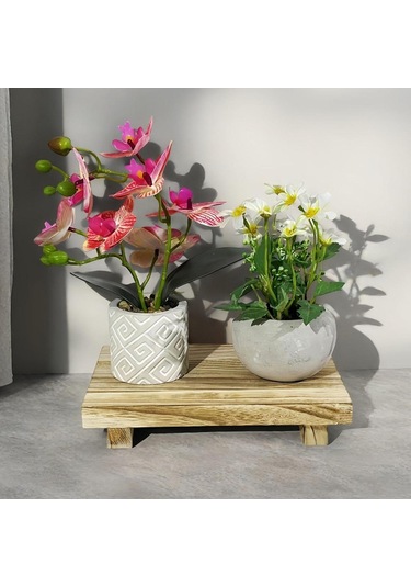 Suntek Ahşap Kaideli Ekran Bulaşık Sabunu Yükseltici Tabak Bej