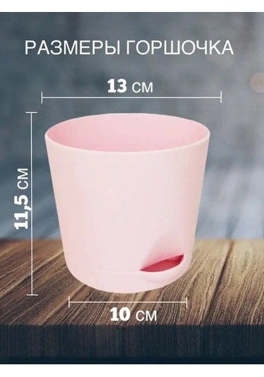 Interm Kaktüsler, Menekşeler Ve Sukulentler İçin Saksı, Otomatik Sulama Sistemi 133195521